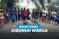 Nenek menangisi buaya