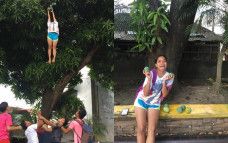 Cheerleaders ngambil mangga