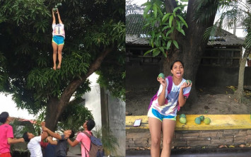 Cheerleaders ngambil mangga