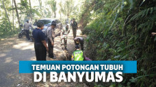 hutan pinus banyumas