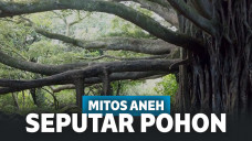 Mitos Aneh Seputar Pohon