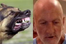 Majikan tewas dimangsa anjing