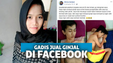 jual ginjal