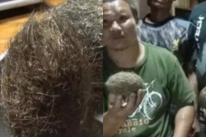 peternak babi jadi milioner