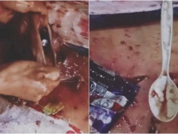 Sampah di perut ikan