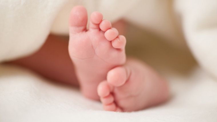 ilustrasi bayi