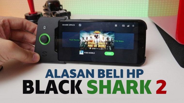 hp black shark 2