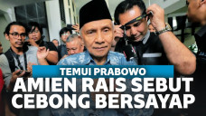 Usai Temui Prabowo, Amien Rais Sebut Cebong Bersayap