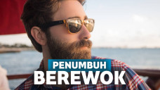 Penumbuh berewok