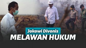 Jokowi dan kebakaran hutan