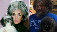 hewan kembar dengan majikan