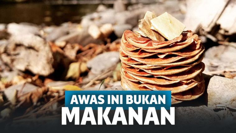 benda mirip makanan