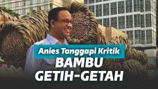 Bambu Getah Getih