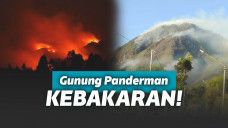 Kebakaran Gunung Panderman