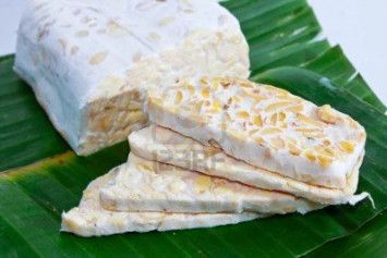 Cara Membuat Tempe