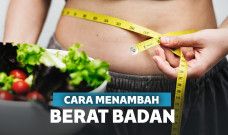 Cara menggemukkan badan 1