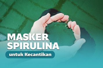 manfaat masker spirulina