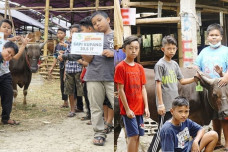 Bocah menabung beli kurban