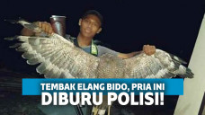 Viral Pria Pamer Tembak Elang Bido Hasil Buruannya, Kini Gantian Diburu Polisi!