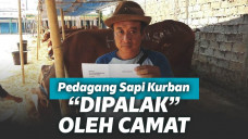 Adin pedagang hewan kurban