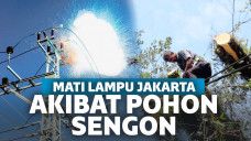 Pohon Sengon Buat Gardu Induk SUTET Ungaran Meledak