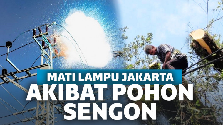 Mati Lampu Jakarta Akibat Pohon Sengon Ganggu Jaringan Sutet