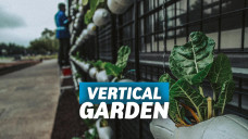 Vertical Garden