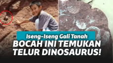 Bocah temukan telur dinosaurus