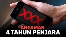 pasal kepemilikan video porno