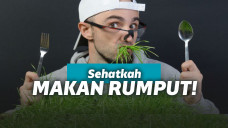 Bolehkah manusia makan rumput?