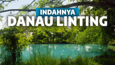 Danau Linting