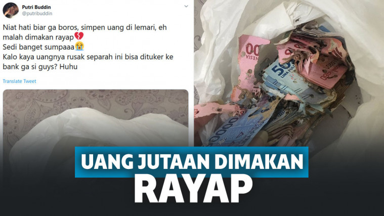uang dimakan rayap