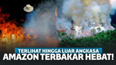 Hutan Amazon Kebakaran Hebat, Terburuk Sepanjang Sejarah Brasil!