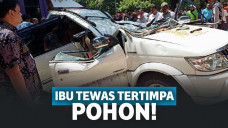 'Ngadem' di Dalam Mobil, Ibu Ini Malah Tewas Tertimpa Pohon!