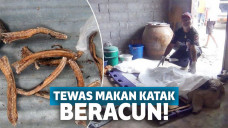 Kuliner Ekstrem Pembawa Petaka