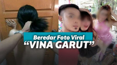 Vina garut