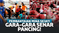 Gara-Gara Senar Pancing, Pembantaian KM Mina Sejati Terjadi