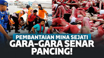 Gara-Gara Senar Pancing, Pembantaian KM Mina Sejati Terjadi