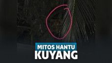 Misteri Hantu Kuyang di Kalimantan
