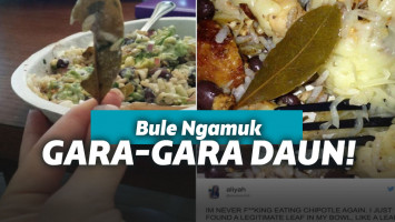 Memprotes daun salam