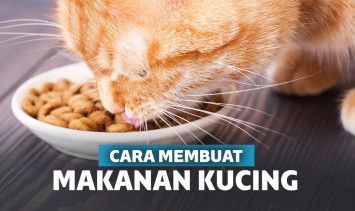 makanan kucing 1