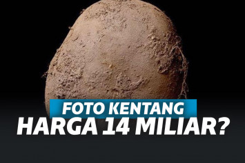 kentang termahal