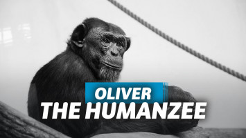 Oliver the Humanzee