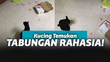 Si Kucing Hitam Menemukan Uang Simpanan