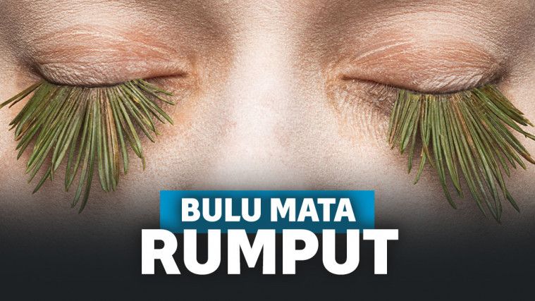 Bulu mata tumbuhan