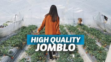 High quality jomblo