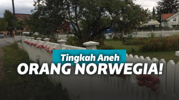 Bagi-bagi apel gratis