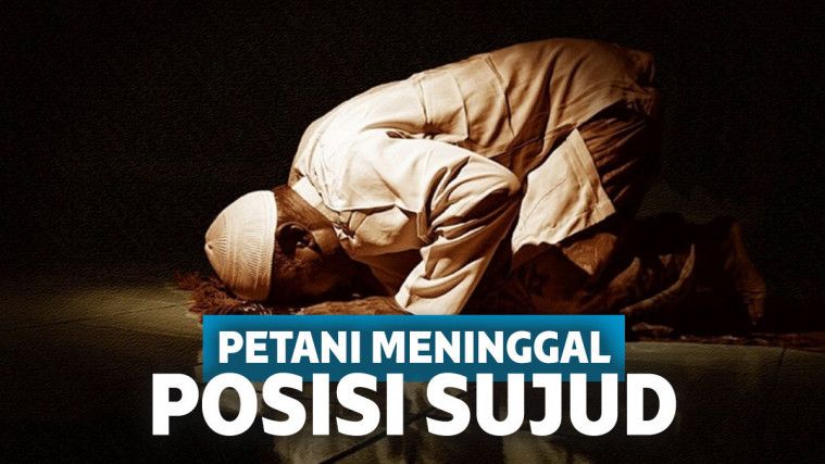 sujud