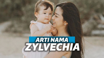 Franda dan Zylvechia