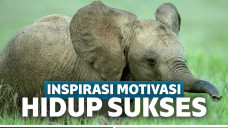 cerita inspirasi motivasi